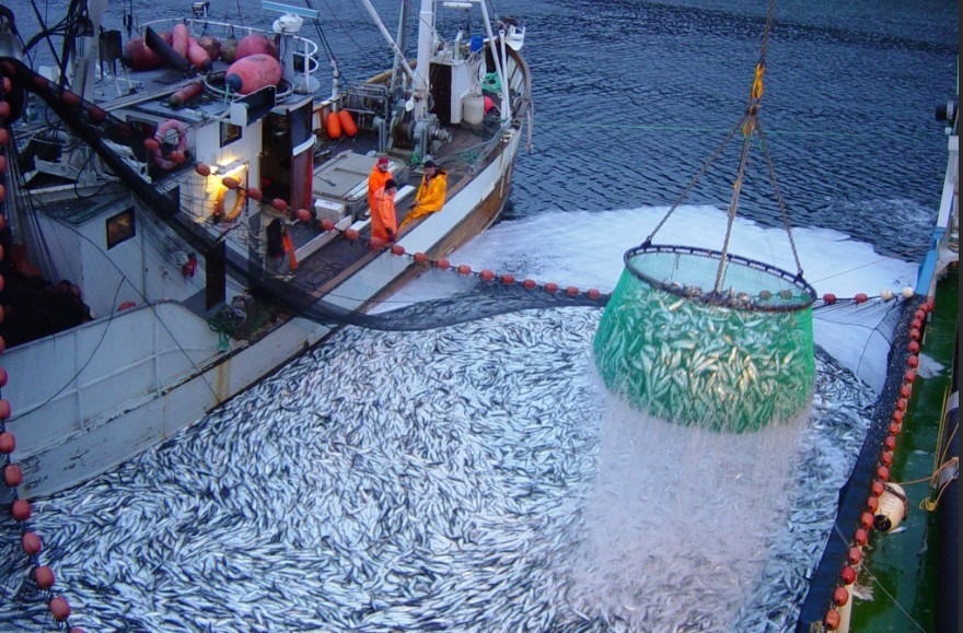 Fishing