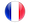 Language Icon